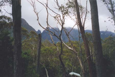 Tasmania Windy Ridge 2003